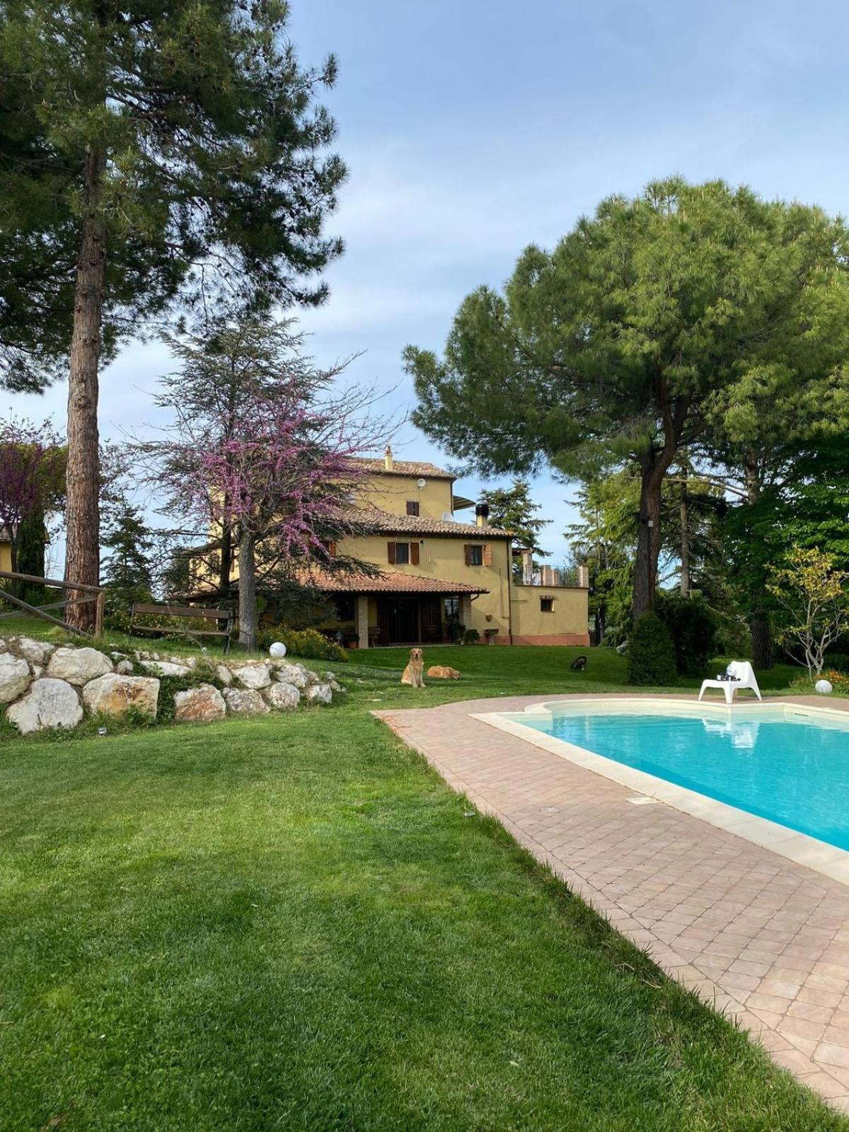Casa Vacanze La Foresteria Озимо Экстерьер фото